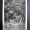 TIMISOARA - PARCUL - INCEPUTUL ANILOR 1900