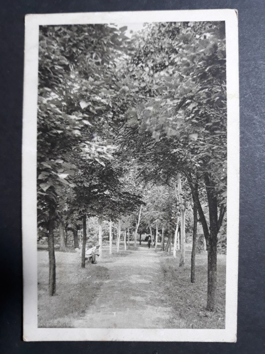 TIMISOARA - PARCUL - INCEPUTUL ANILOR 1900