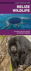 Belize Wildlife: A Folding Pocket Guide to Familiar Species, Paperback foto