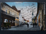 SIBIU - NAGYSZEBEN - STRADA CU ANIMATIE - INCEPUT DE 1900, Circulata, Fotografie