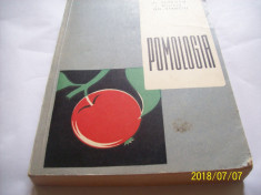 pomologia si selectia plantelor pomicole- an 1961 foto