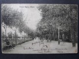 FAGARAS - PARCUL REGINA MARIA - INCEPUT DE 1900, Circulata, Fotografie