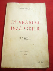 Florica Radulescu - In gradina inzapezita -Ed.Lupta 1929 - cu dedicatie si autog foto