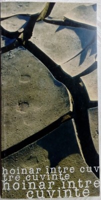 VALERIU LOGHIN - HOINAR INTRE CUVINTE (VERSURI)[EDITURA CUANT / CHISINAU 1997] foto