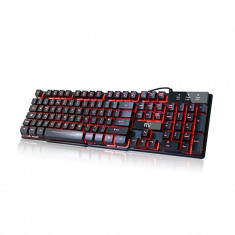 Tastatura Gaming USB, butoane multimedia, iluminata in 3 culori, Rii foto