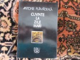 Cuvinte la zile mari - A. Plamadeala