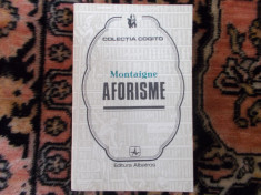 Montaigne - Aforisme foto