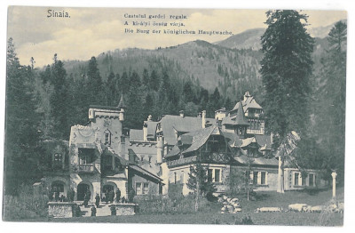 3363 - SINAIA, Castle Royal Guard, Romania - old postcard - unused foto