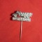 Insigna Camion Tatra 138 ,metal ,L= 2,8 cm