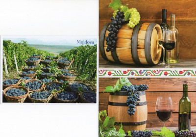 Moldova 2018, Struguri, Vin, Vinarie, carte postala foto