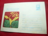 Plic ilustrat Plante Medicinale -Tei ,cod 96/74