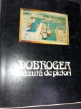 DOBROGEA VAZUTA DE PICTORI