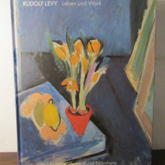 Rudolf Levy: Leben und Werk-Susanne Thesing(German Edition)