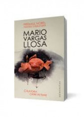 Mario Vargas Llosa - Calatoria catre fictiune foto