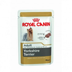 Royal Canin BHN Yorkshire 12x85 g/Karma Royal Canin BHN Yorkshire 12x85 g - PP00614 foto