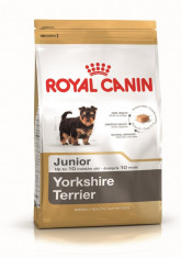 Royal Canin BHN Yorkshire Terrier 29 Junior 1,5 kg/Royal Canin BHN Yorkshire Terrier 29 Junior 1,5kg - PP00509 foto