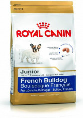 BHN bulldog francez 3 kg/BHN French Bulldog Jun 3 kg - PP00258 foto