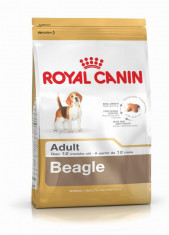Royal Canin Beagle Adult 12 kg/Royal Canin Beagle Adult 12 kg - PP00514 foto