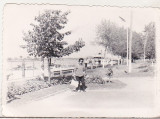 bnk foto - Tulcea - Faleza si portul vazute de pe str Ger Antipa - anii 70