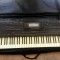 Vand orga Roland G800