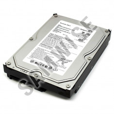 Hard Disk 250GB SEAGATE ST3250318AS, SATA2, 7200rpm foto