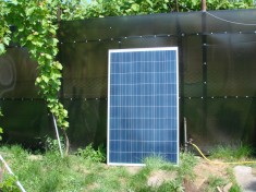 Panou fotovoltaic 250W 12V policristalin foto