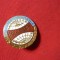 Insigna IMAGREX - Intrepridere Masini Agricole Export Bucuresti,d= 2,4 ,metal