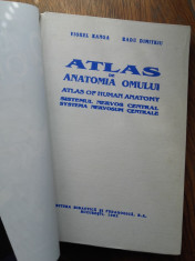 ATLAS DE ANATOMIA OMULUI SISTEMUL NERVOS foto