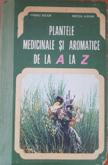 PLANTELE MEDICINALE SI AROMATICE DE LA A LA Z - Ovidiu Bojor, Mircea Alexan foto