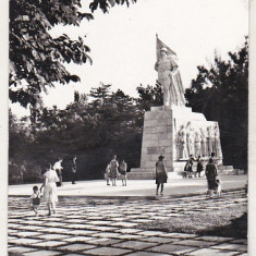 bnk cp Timisoara - Monumentul ostasului roman - circulata