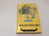 ION ROMAN - BOLINTINEANU-RF11/1