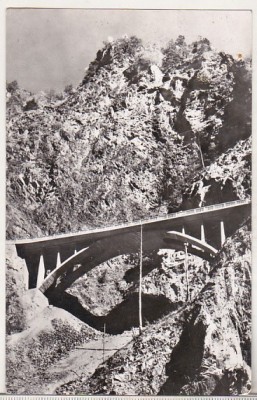 bnk cp Cheile Argesului - Vedere - necirculata foto
