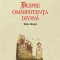 Petrus Damianus - Despre omnipoten?a divina ( edi?ie bilingva )