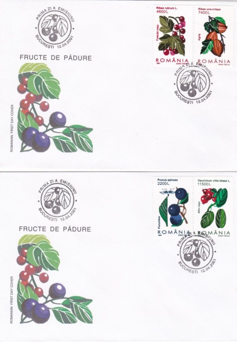 ROMANIA 2001 LP 1547 FRUCTE DE PADURE FDC ROMANIA 2001 LP 1547 FRUCTE DE PADURE FDC