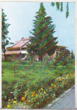 Bnk cp Izvorul Muresului - Complexul turistic - necirculata, Printata