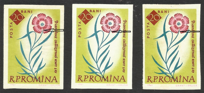 VARIETATE DE TIPAR DEPLASAT--ROMANIA -FLORI--NEDANTELAT 1961