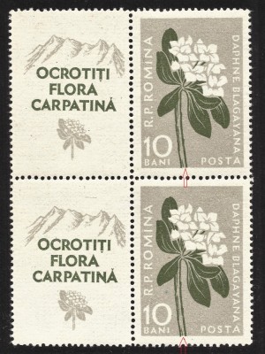 VARIETATE-PERECHE CU VIGNETA-- FLORA CARPATINA --TIPAR DEPLASAT --1957-- MNH foto