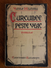 Curcubee peste veac - Vasile Militaru / C19P foto