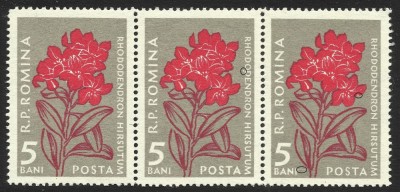 VARIETATE --ROMANIA -FLORA IN STRAIF DE 3 --1957 MNH foto