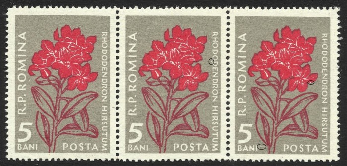 VARIETATE --ROMANIA -FLORA IN STRAIF DE 3 --1957 MNH