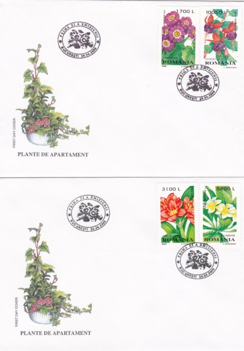 ROMANIA 2000 LP 1510 PLANTE DE APARTAMENT FDC foto mare ROMANIA 2000 LP 1510 PLANTE DE APARTAMENT FDC foto mare