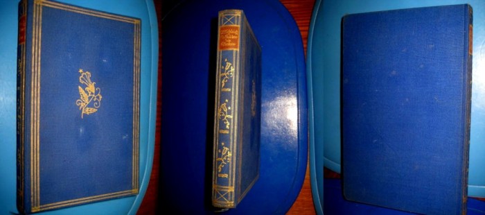 C.L.Gchleich Acolo suna clopotul Berlin 1927-Fantazie despre inceputurile vietii