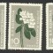 VARIETATI--ROMANIA FLORA CARPATINA -TIPAR DEPLASAT -3 POZITII -MNH