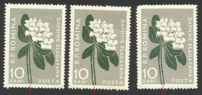 VARIETATI--ROMANIA FLORA CARPATINA -TIPAR DEPLASAT -3 POZITII -MNH