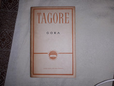 TAGORE - GORA foto