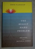 he really hard problem : meaning in a material world /​ Owen Flanagan