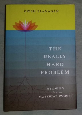 he really hard problem : meaning in a material world /​ Owen Flanagan foto