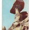 CPI B 10679 CARTE POSTALA - MUNTII BUCEGI - BABELE, RPR
