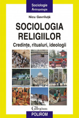 Sociologia religiilor. Credinte, ritualuri, ideologii (eBook) foto