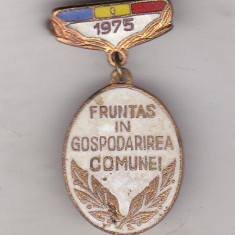 bnk ins Insigna Fruntas in gospodarirea comunei 1975